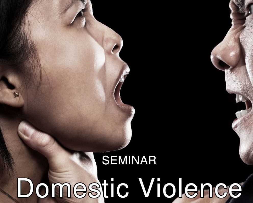 Seminar Domestic Violence 2014